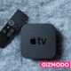 All images: Alex Cranz/Gizmodo